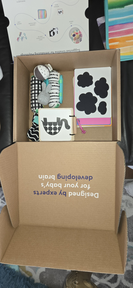Lovevery The Looker Play Kit (Weeks 0-12)