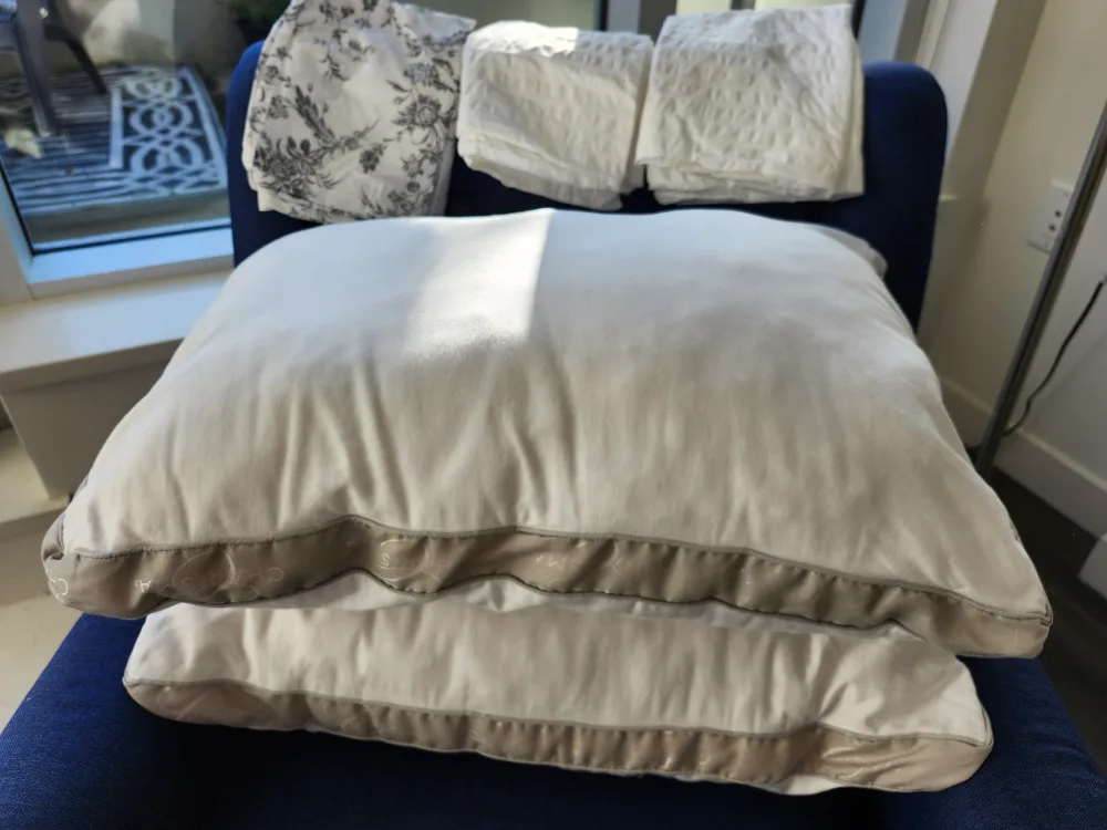 Pillows and Pillow Cases Set 🥕 thumbnail