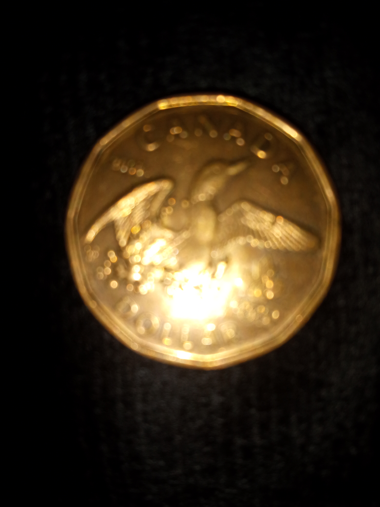 Canadian Loonie Dollar Coin - photo 2