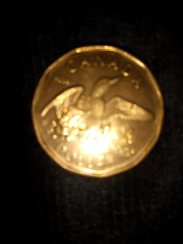 Canadian Loonie Dollar Coin image indicator(2)