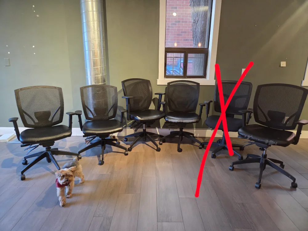 FREE: Office Chairs thumbnail