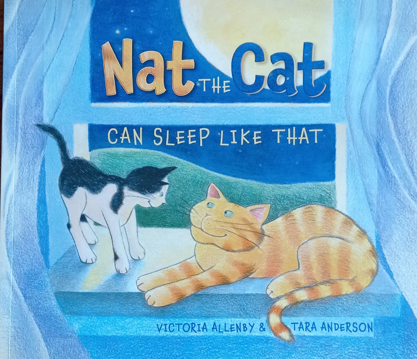Nat the Cat Can Sleep Like That by Victoria Allenby thumbnail