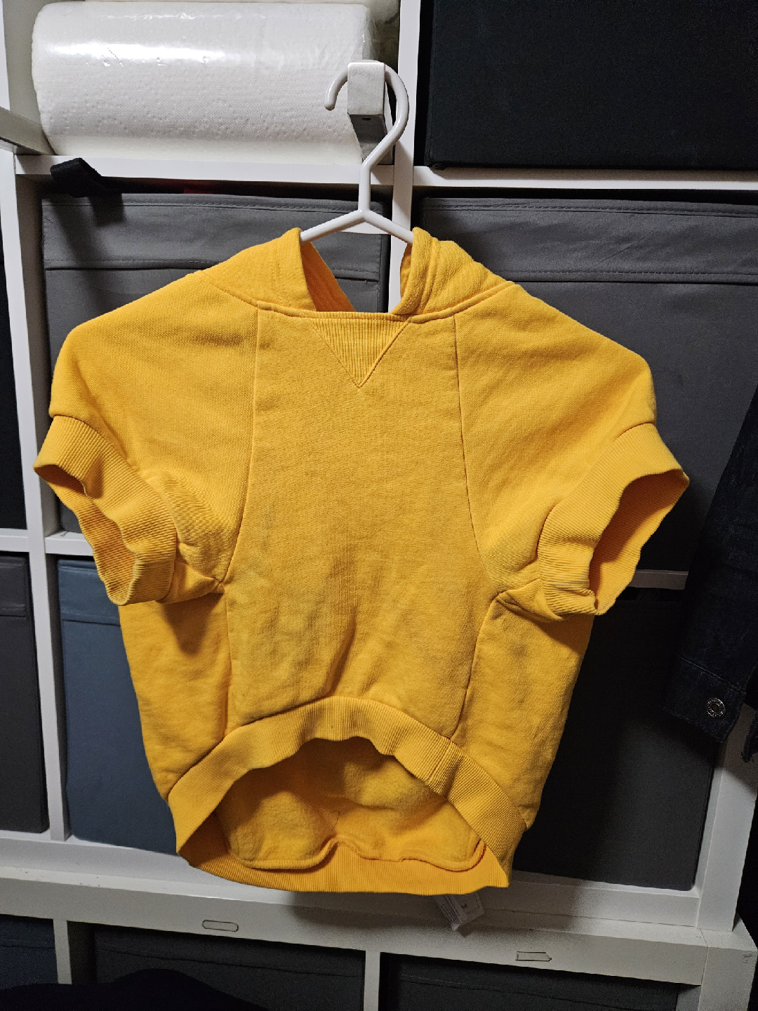 Drew House hoodie for dog - photo 3