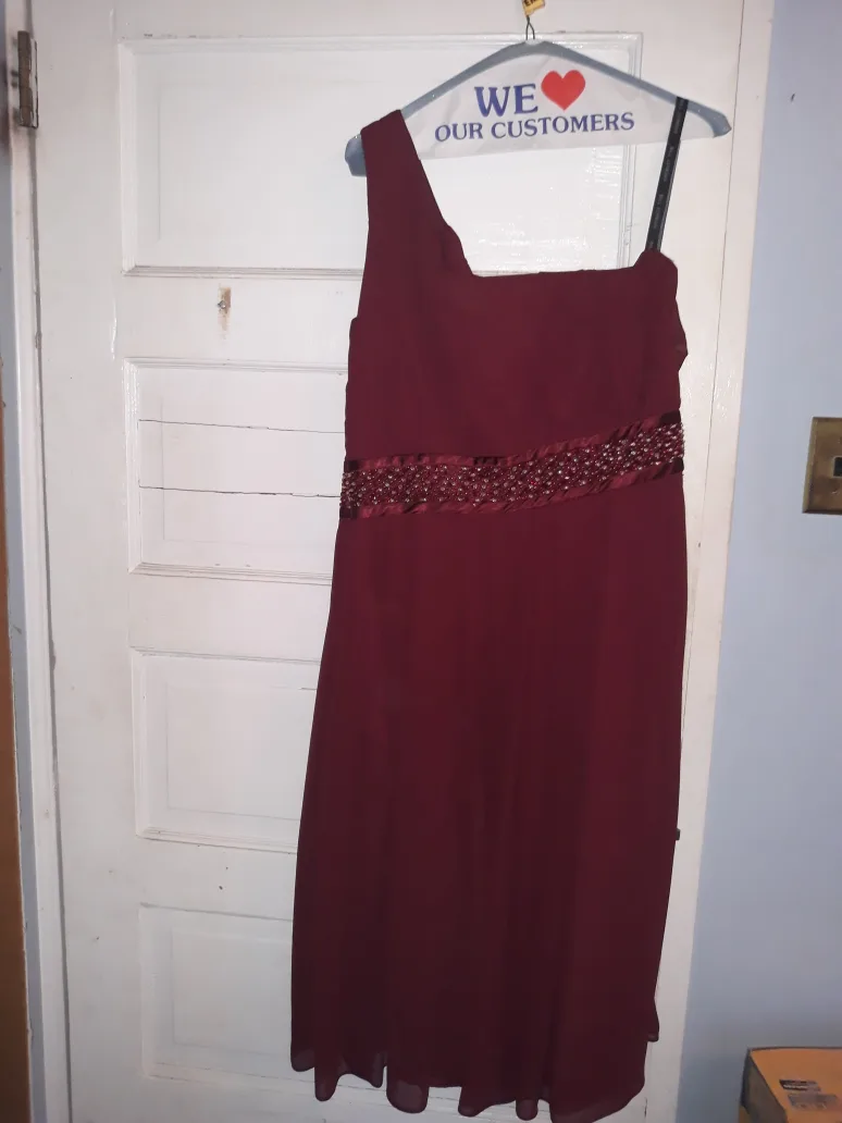 Bill Levkoff Dress - Size 18 - Burgundy image indicator(5)