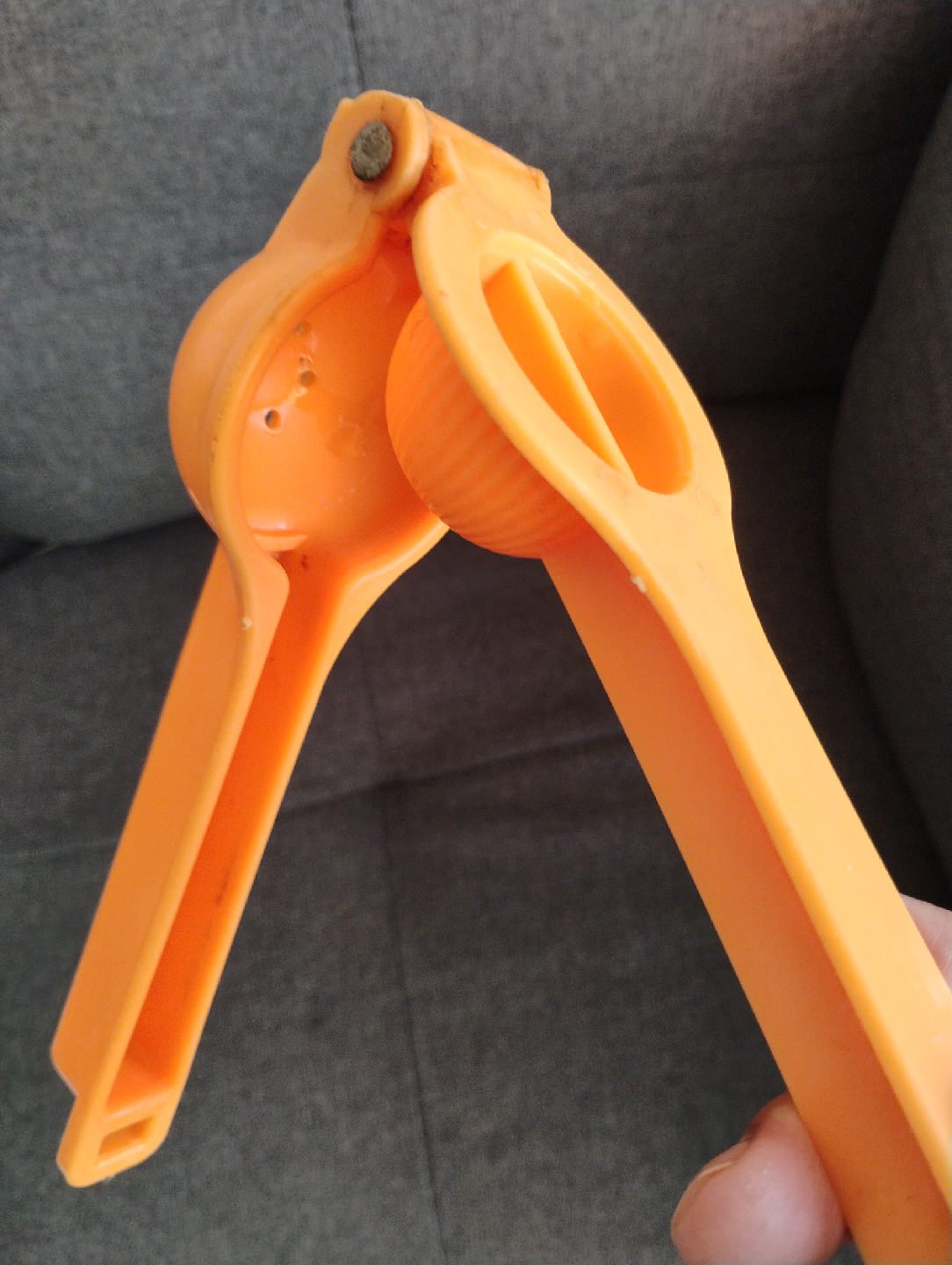 🥕Orange Citrus Juicer Free