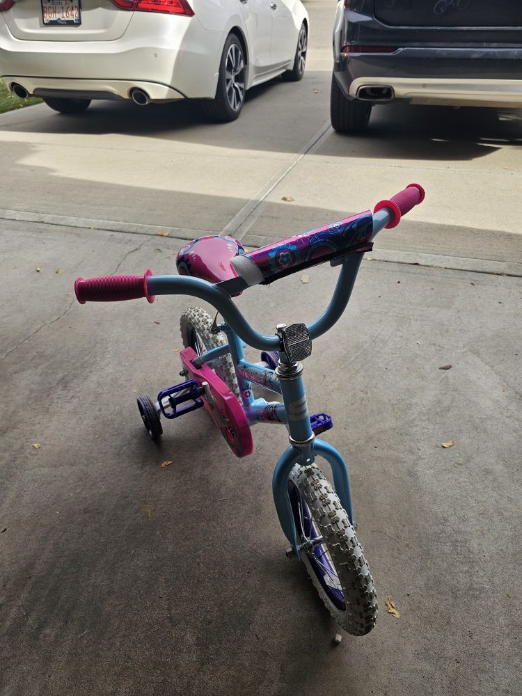 Kids Bike - Blue and Pink - photo 3