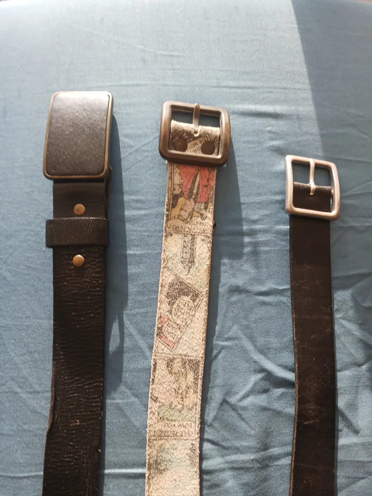 Assorted Belts: ALDO & Brave Leather thumbnail
