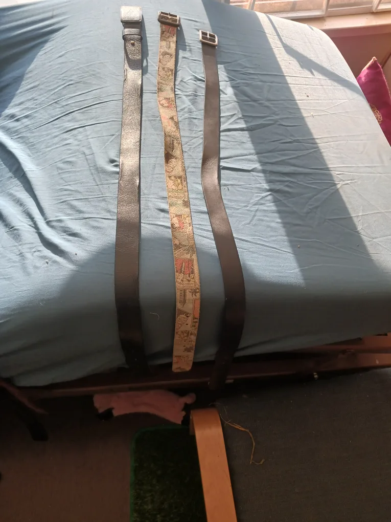 Assorted Belts: ALDO & Brave Leather image indicator(4)