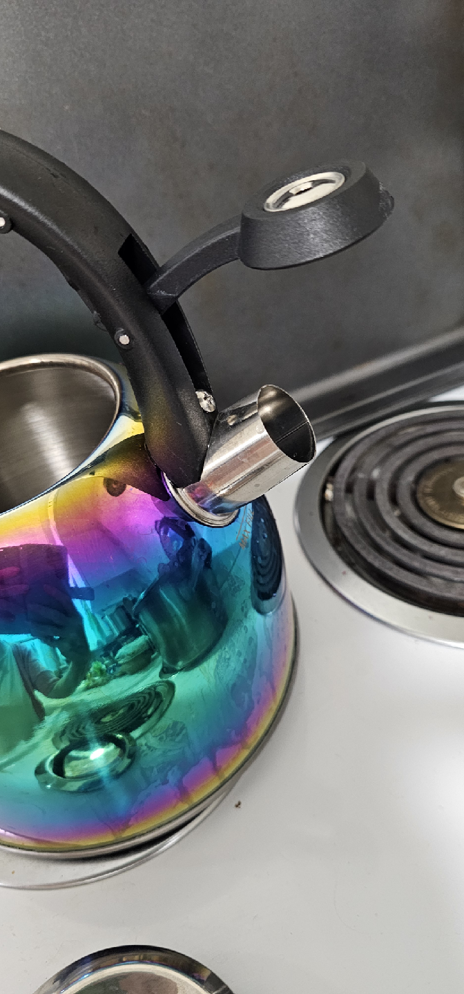 Kamenstein Rainbow Kettle - photo 4