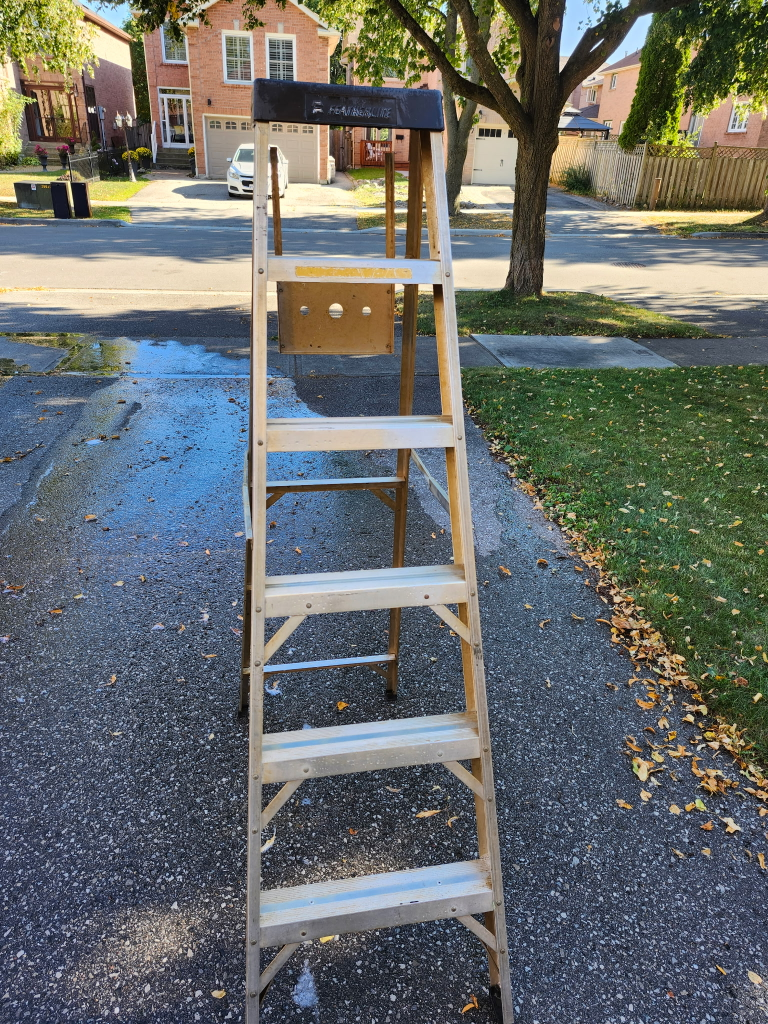 Aluminum 5 foot Ladder