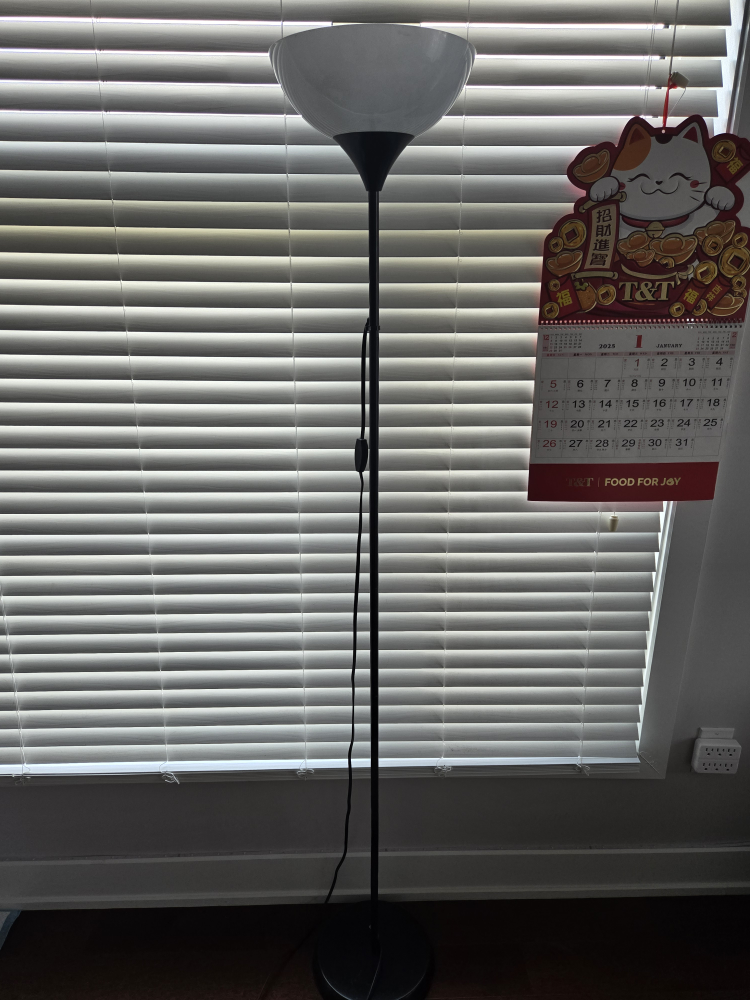 Floor Lamp - Black and White - photo 2