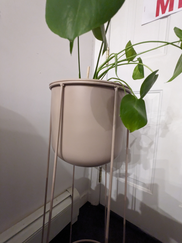🥕Celeste Plant Stand  $90 - photo 3