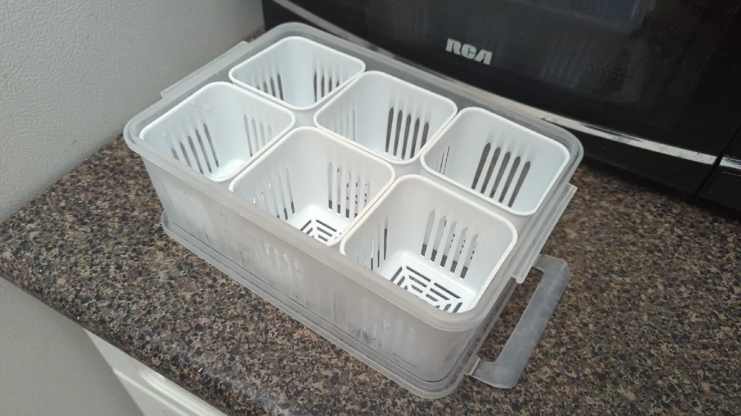 Refrigerator food organizer