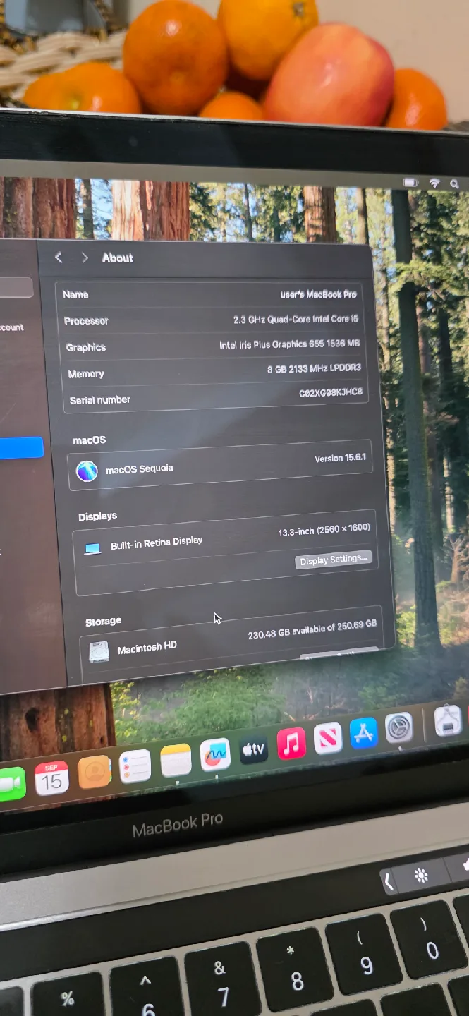 MacBook Pro 13-inch 2018 - Intel Core i5 image indicator(6)