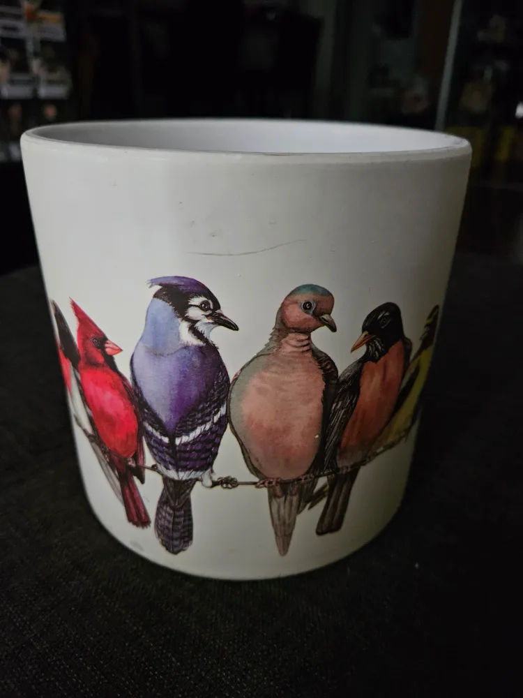 W. Russell Bird Design Planter 6" tall, 6" wide image indicator(2)