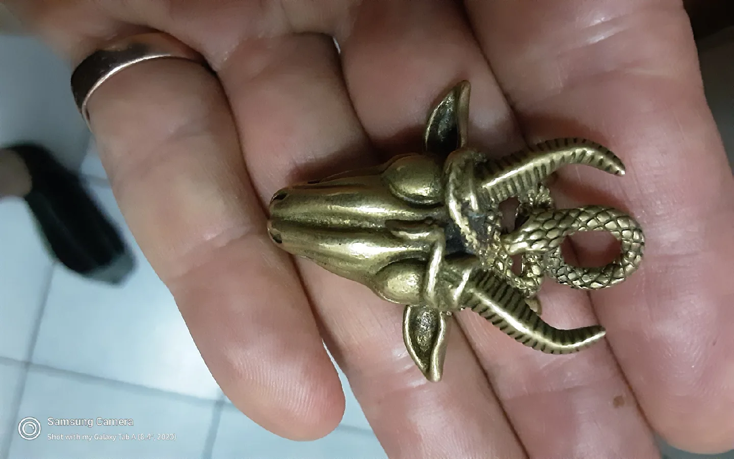 Brass Snake on Goat Skull Pendant image indicator(2)