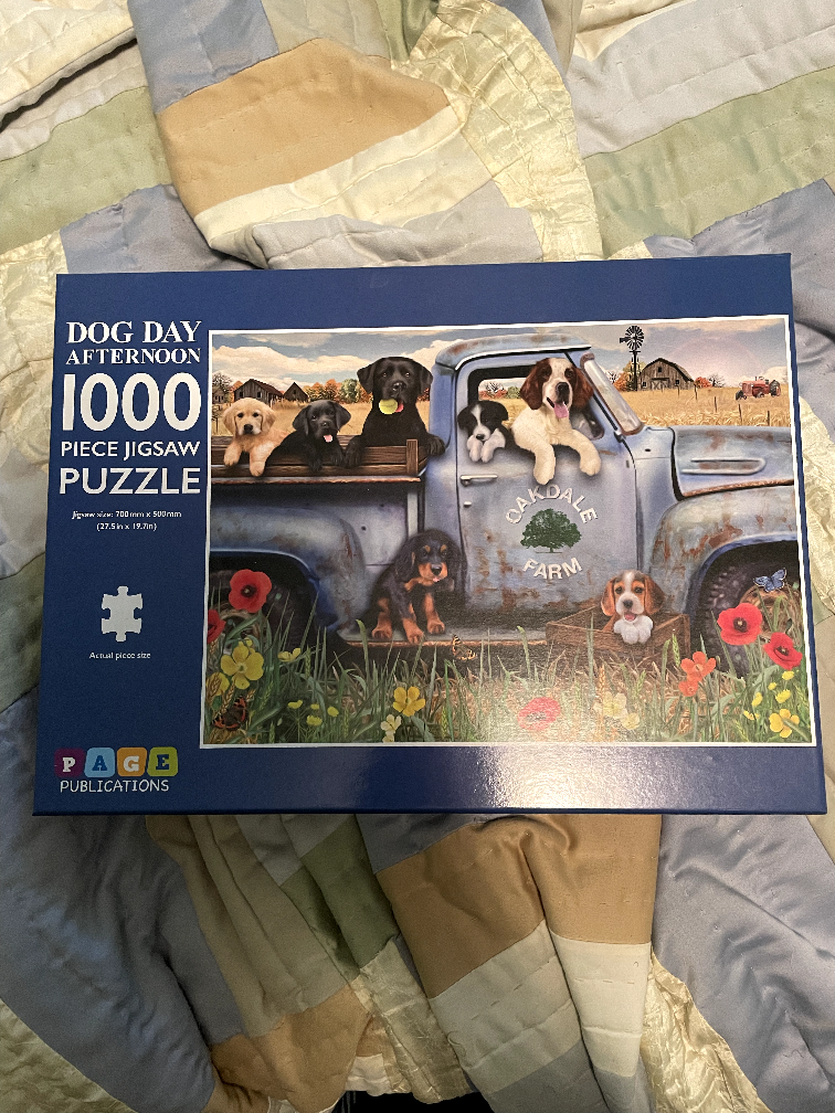 Dog Day Afternoon Puzzle