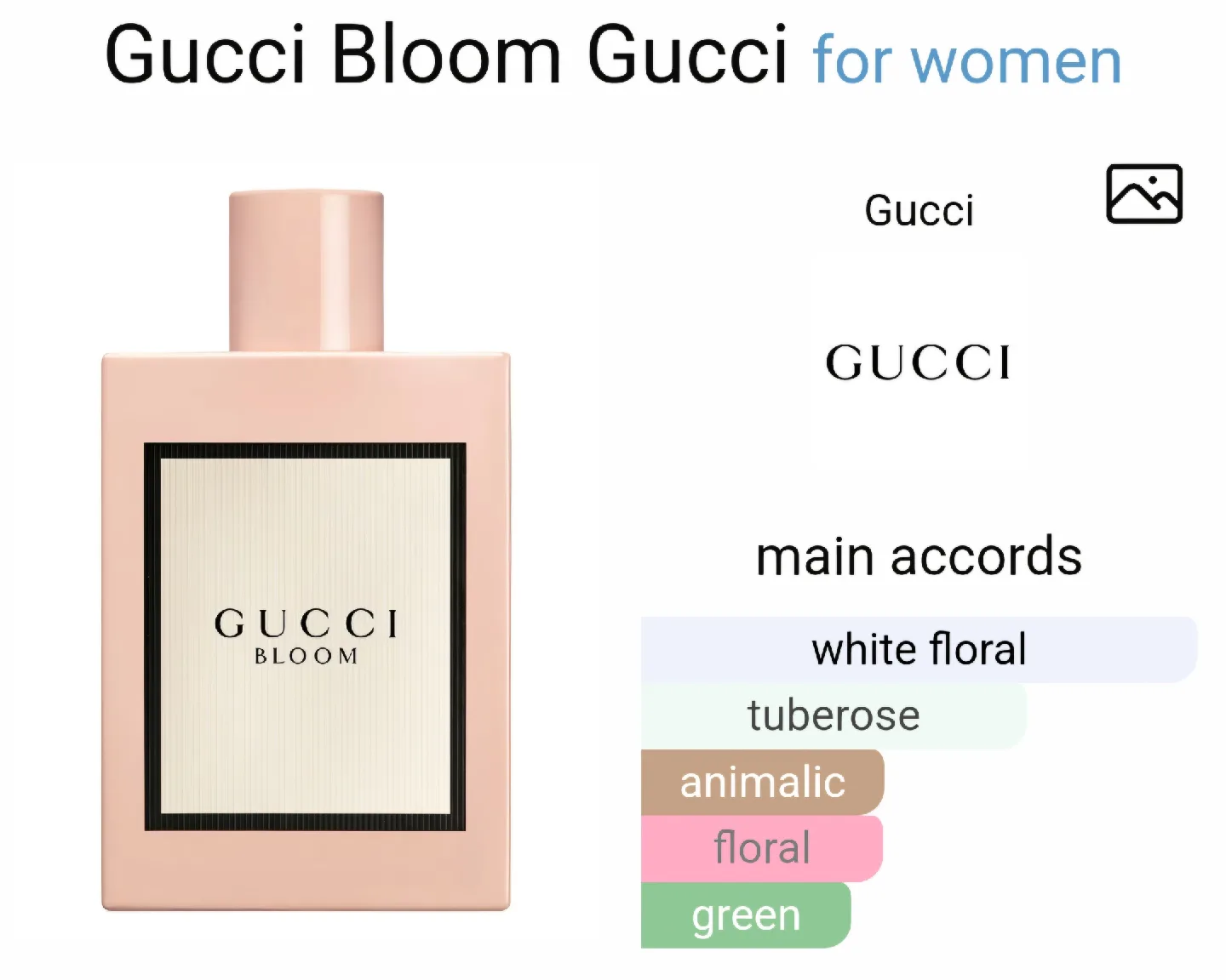 Gucci Bloom image indicator(3)