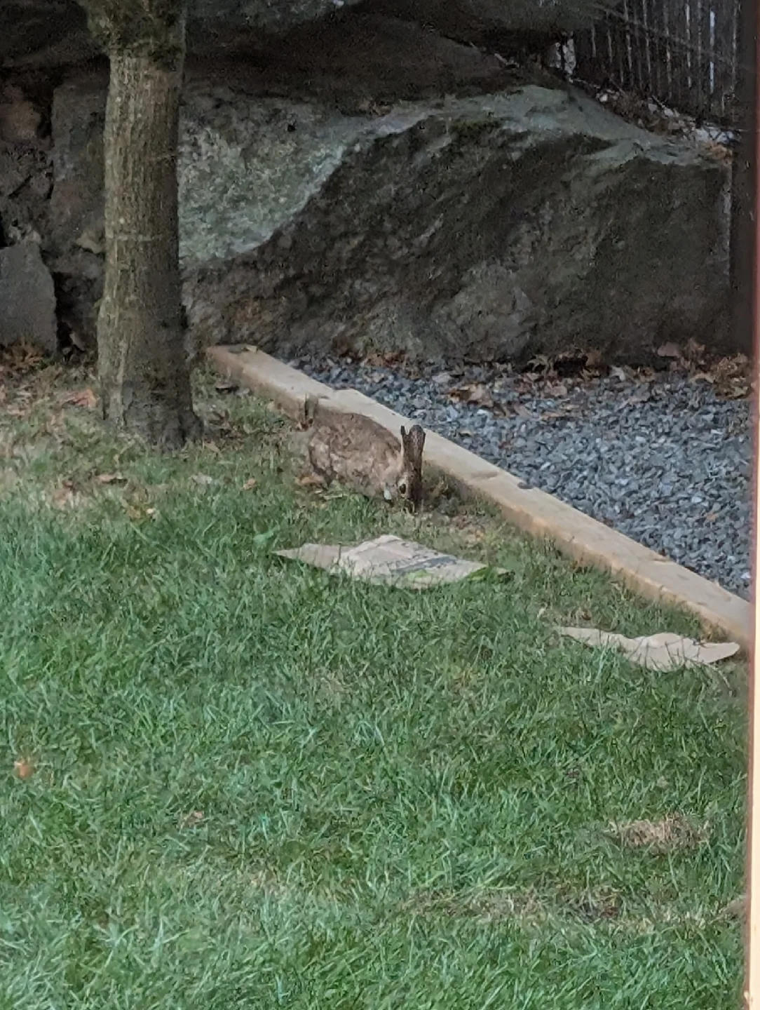 King Mattress image indicator(3)