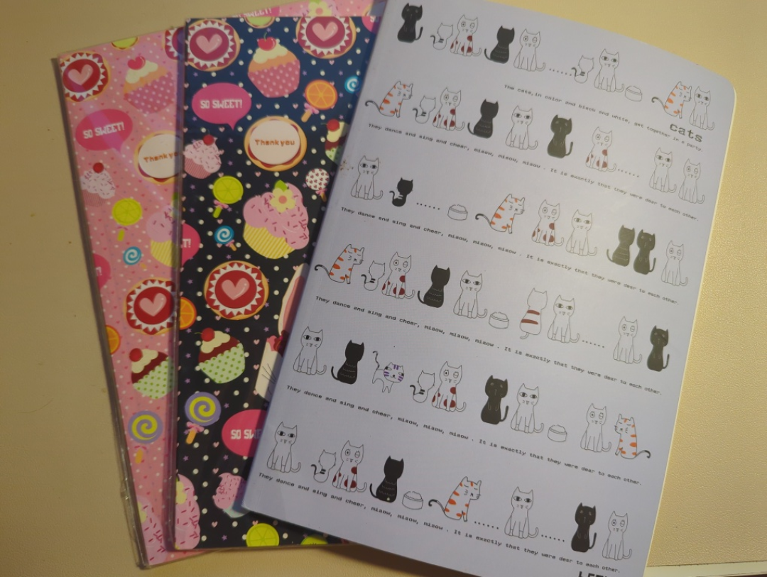 Set of 3 Cute Notebooks