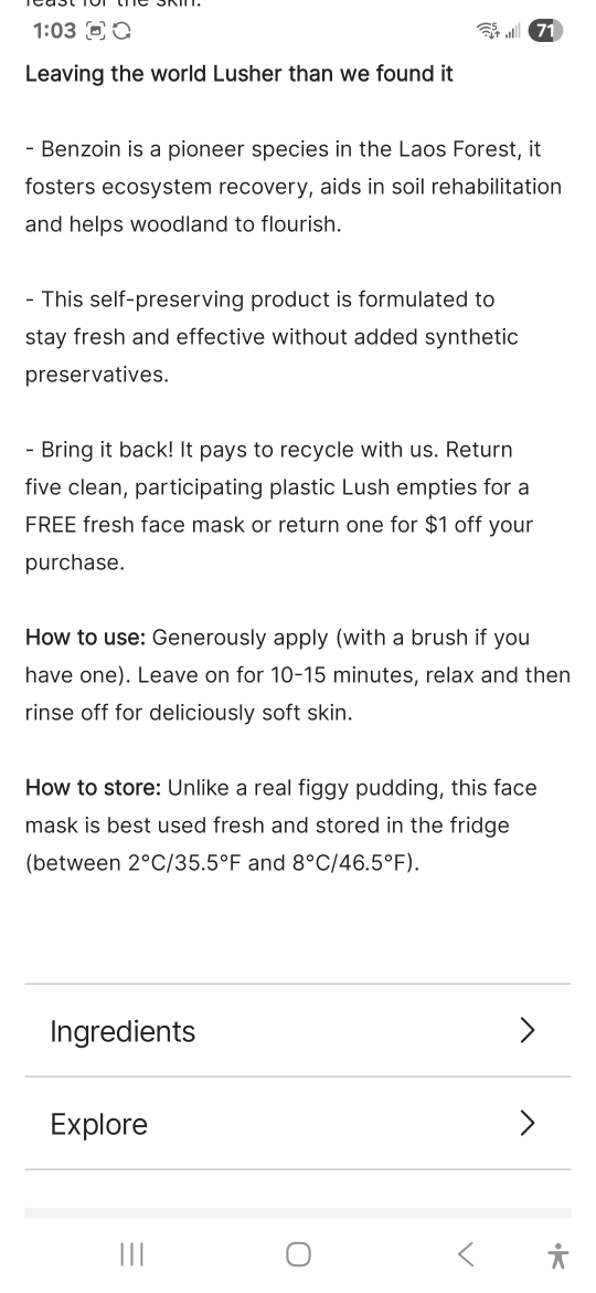 Lush Bring Us Some Figgy Pudding Face Mask - photo 3