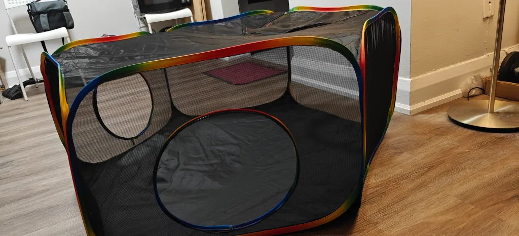 Cat/Dog Playpen w/ Rainbow Trim image indicator(3)