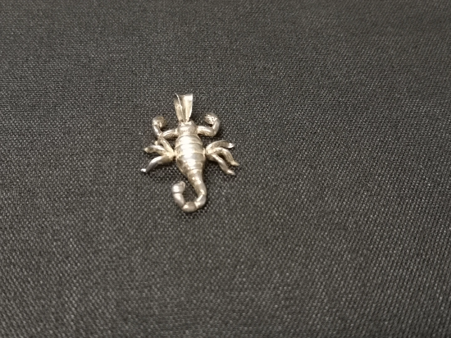 Scorpion Pennant - photo 4