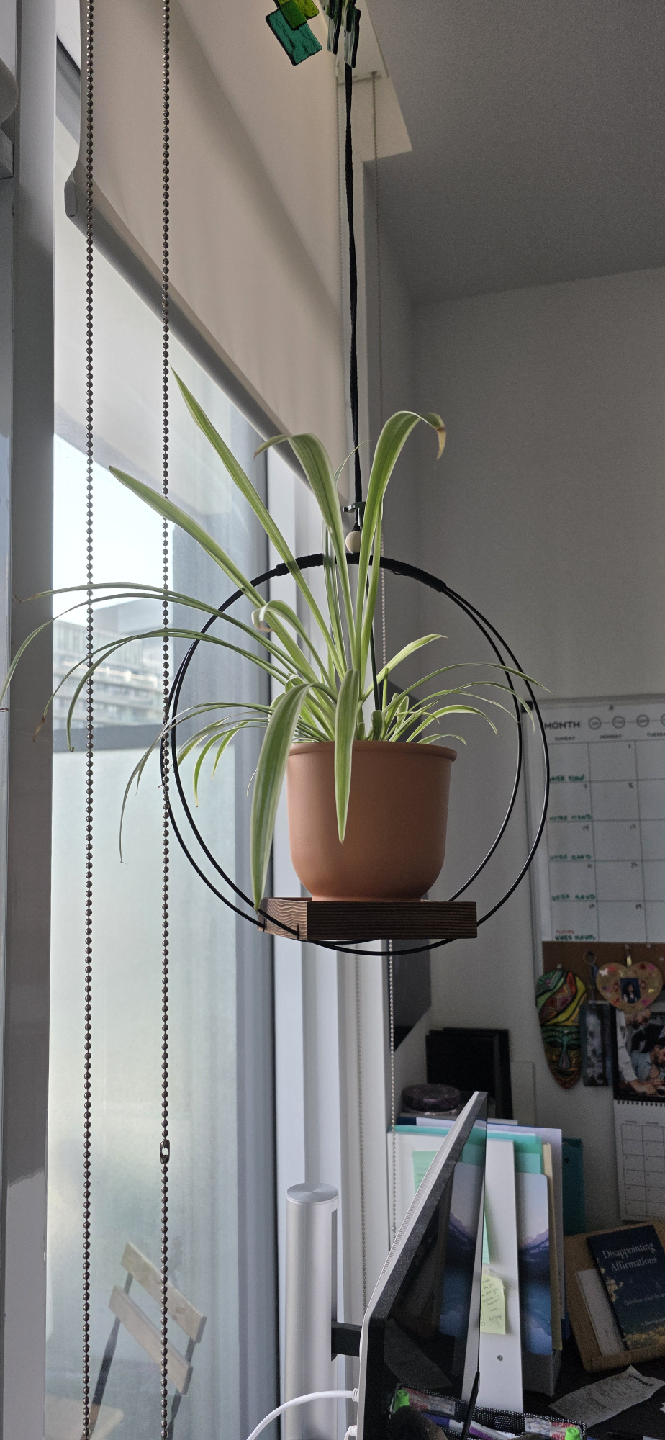 Hanging Plant Holder - Modern Style - photo 2