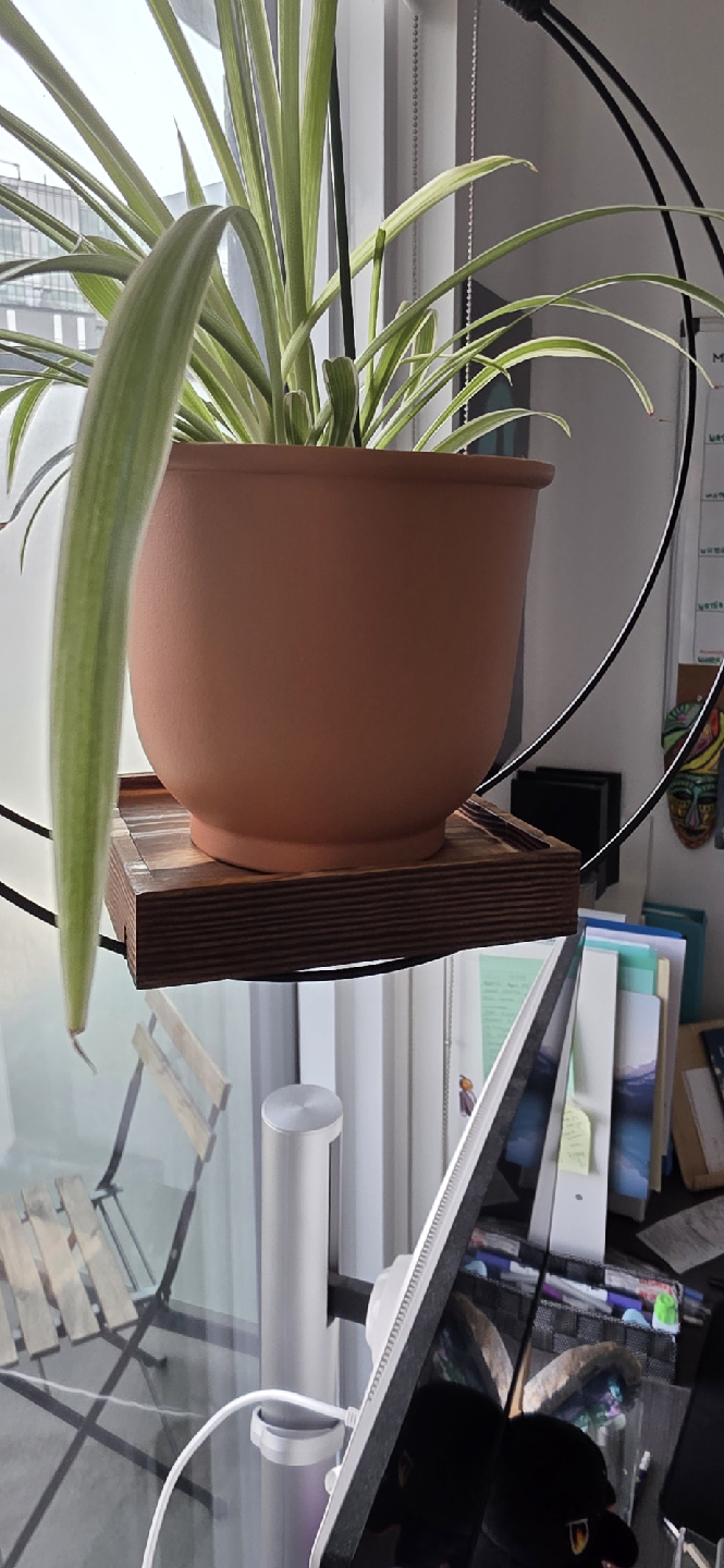 Hanging Plant Holder - Modern Style - photo 3