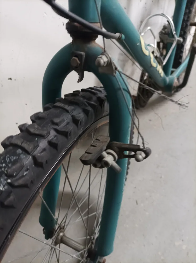 CCM Mountain Bike - Teal image indicator(10)