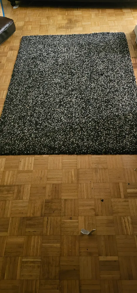 Area Rug - Black and White thumbnail