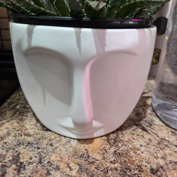 Cute Aloe Plant in Face Pot image indicator(3)