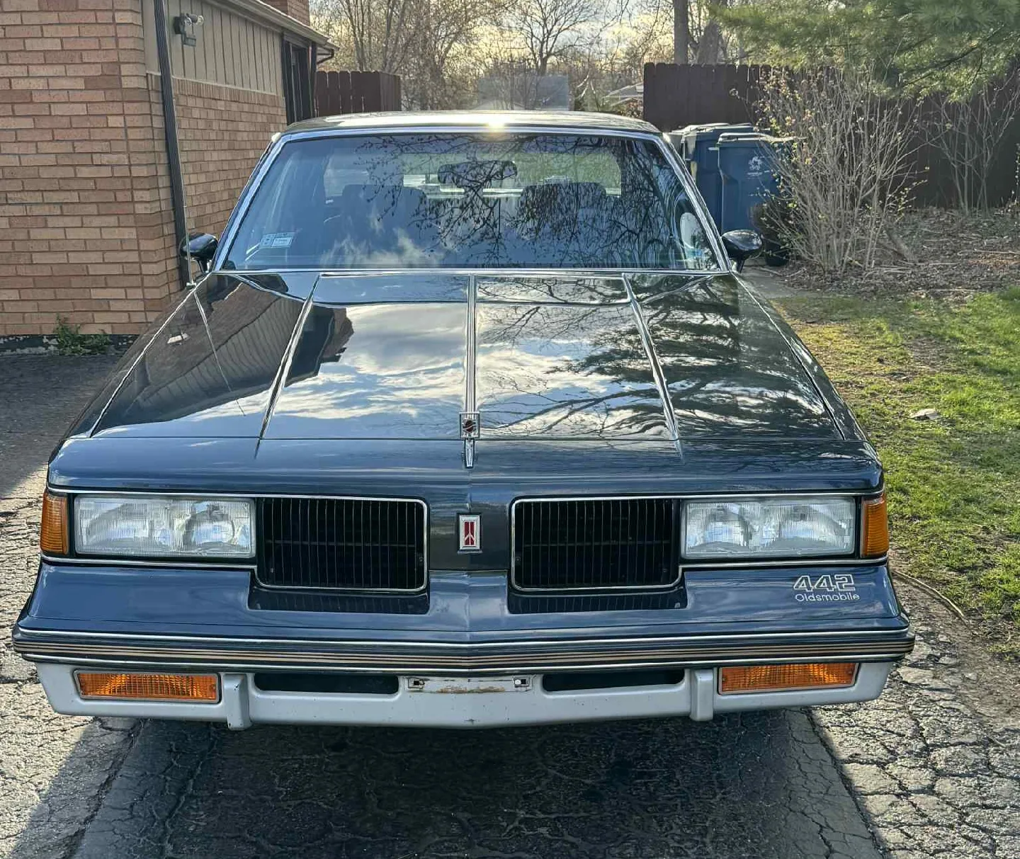 1987 Oldsmobile cutlass 442 thumbnail