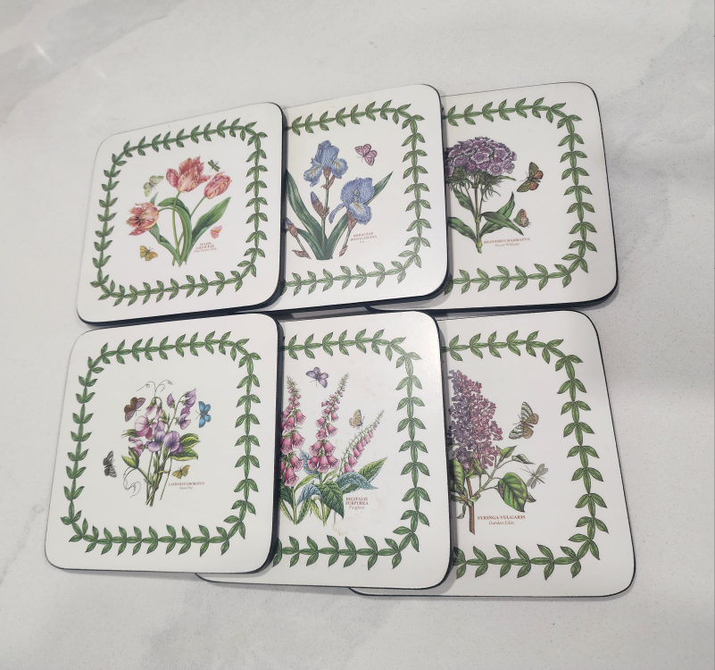 Set of 6 Botanical Coasters in Box
