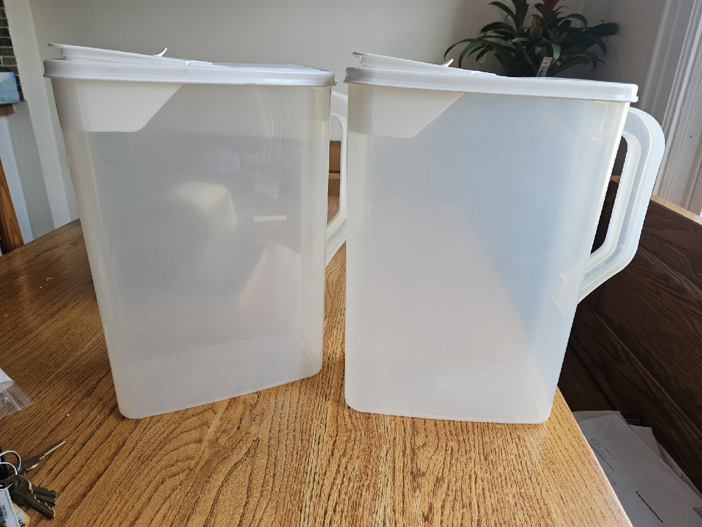 Rubbermaid cereal containers
