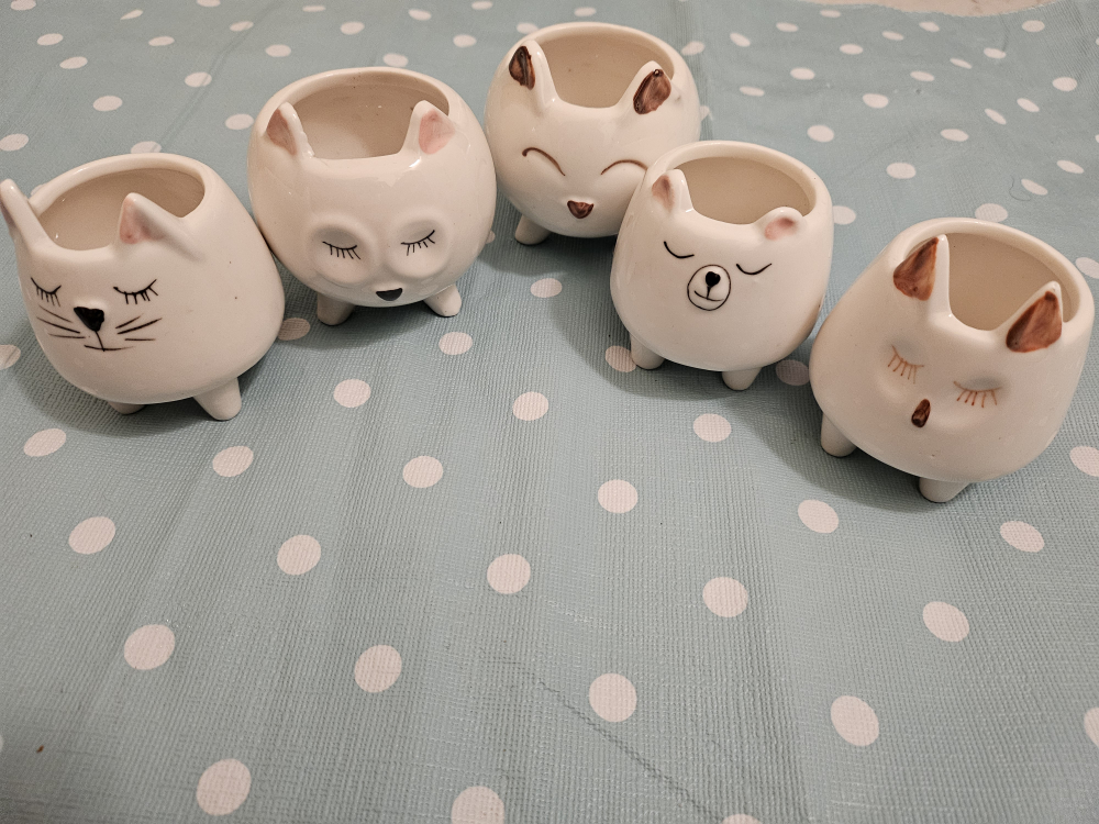 Cute mini animal Ceramic Planters (Set of 5)