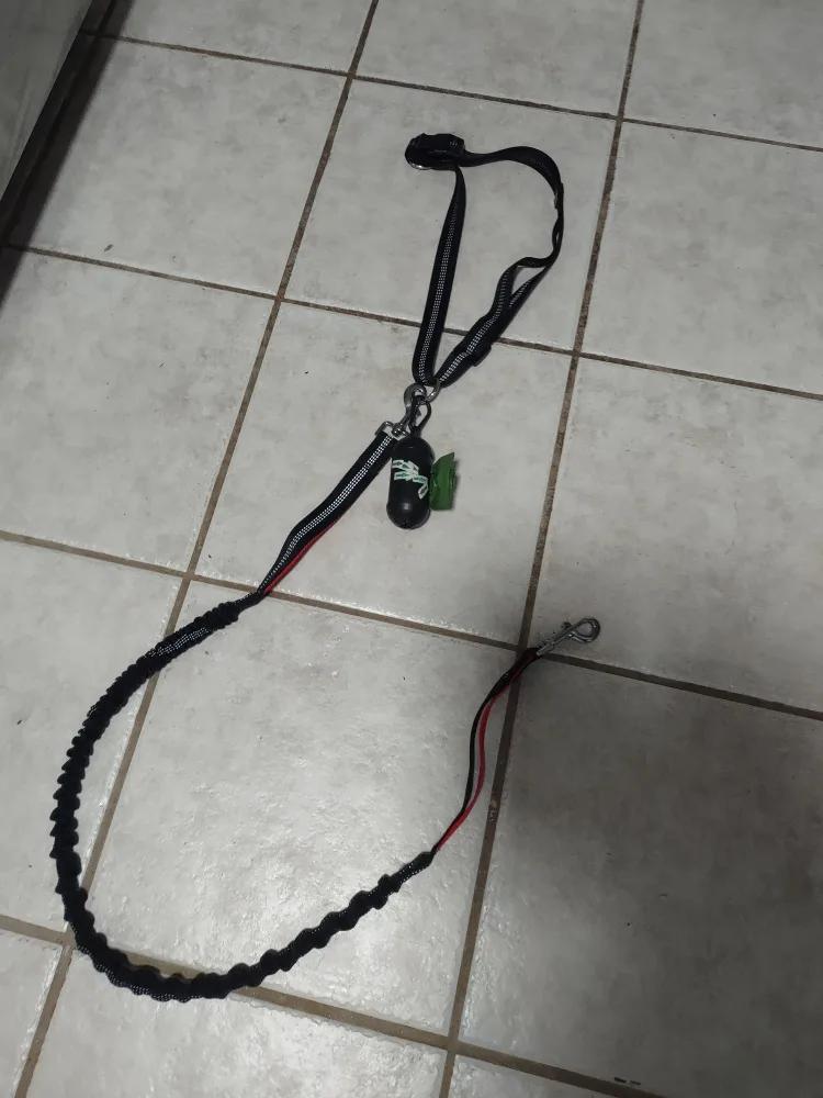 Black Dog Leash with Bungee Cord thumbnail