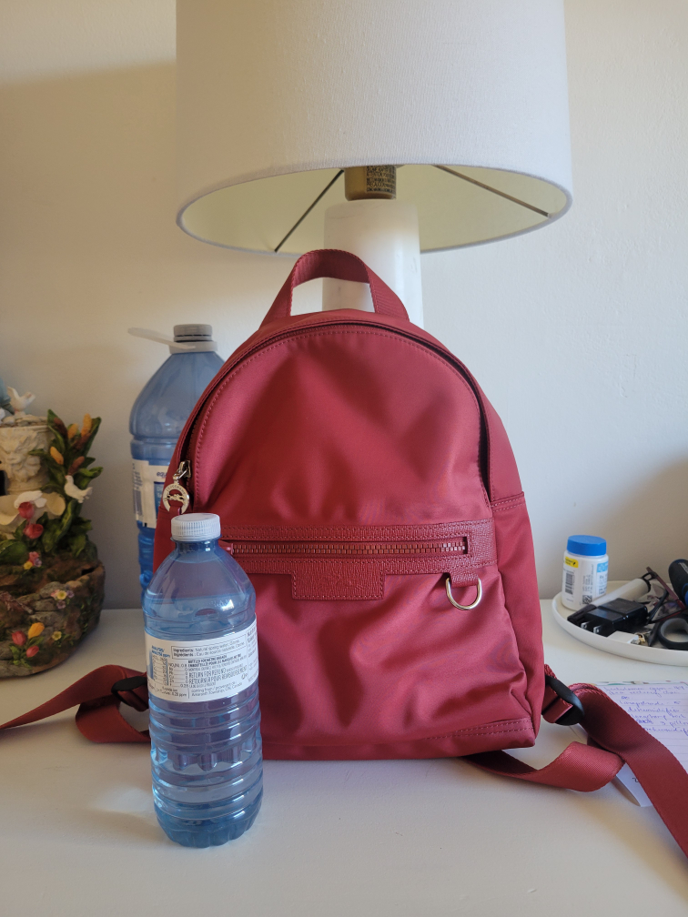 Longchamp Backpack Roseau Red Small - photo 2