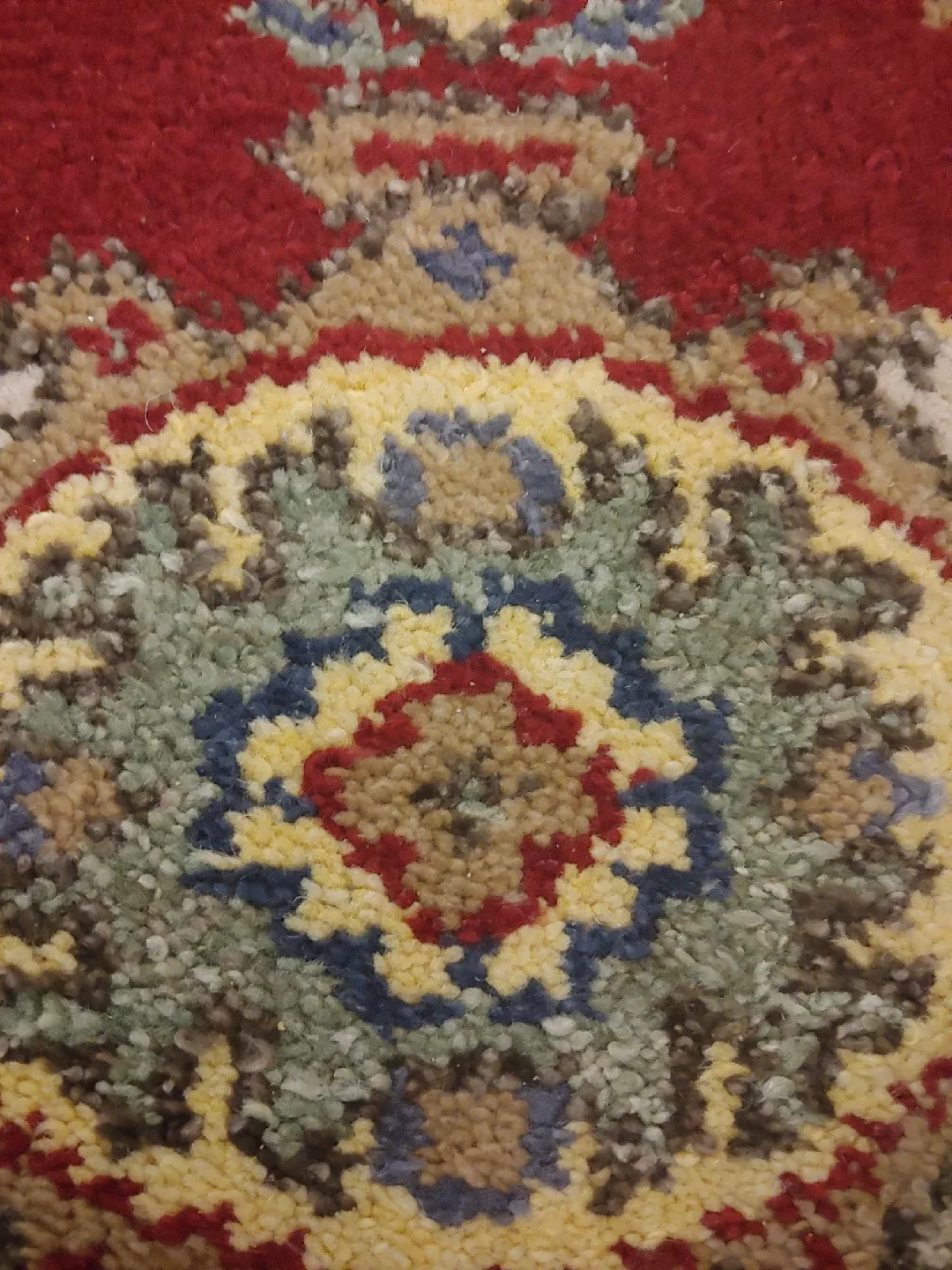 Carpet runner image indicator(8)