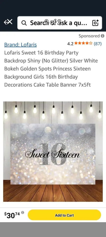 Lofaris Sweet 16 Birthday Backdrop image indicator(2)