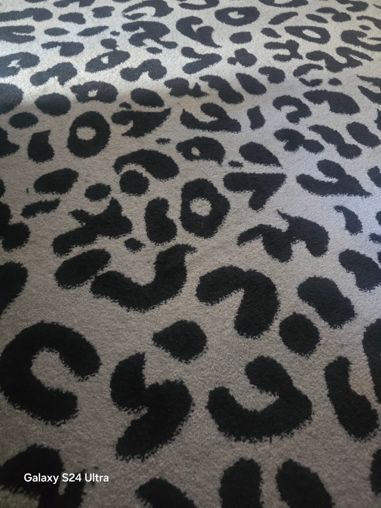 Leopard Print Area Rug thumbnail