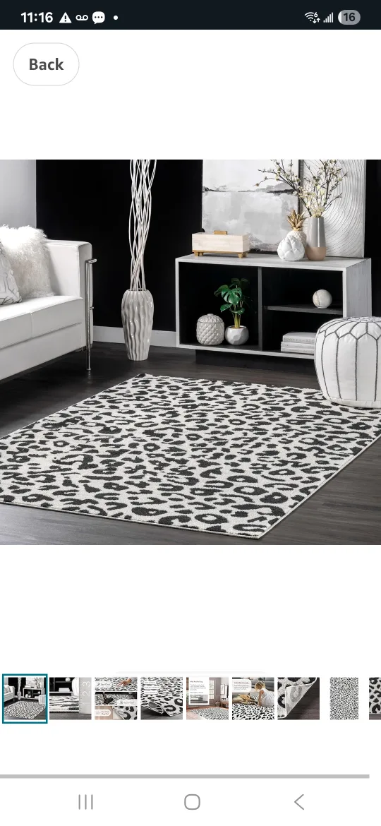 Leopard Print Area Rug image indicator(2)