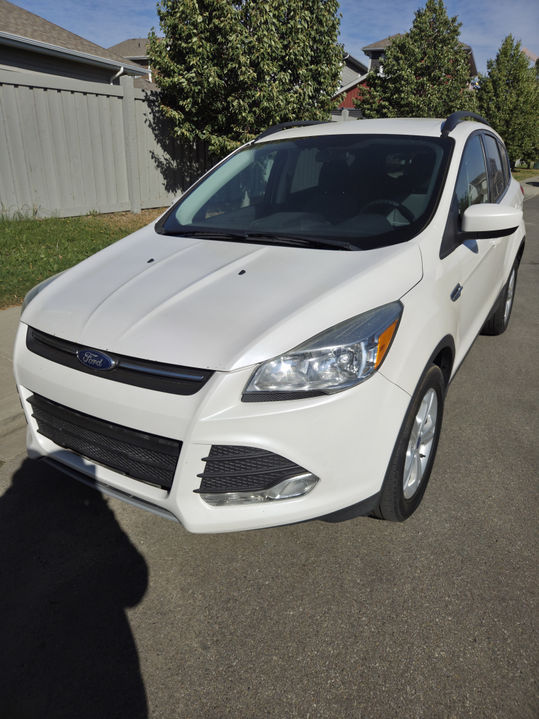 Ford Escape - White SUV