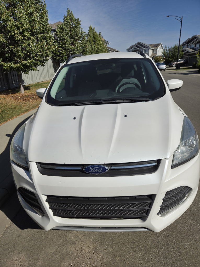 Ford Escape - White SUV - photo 2
