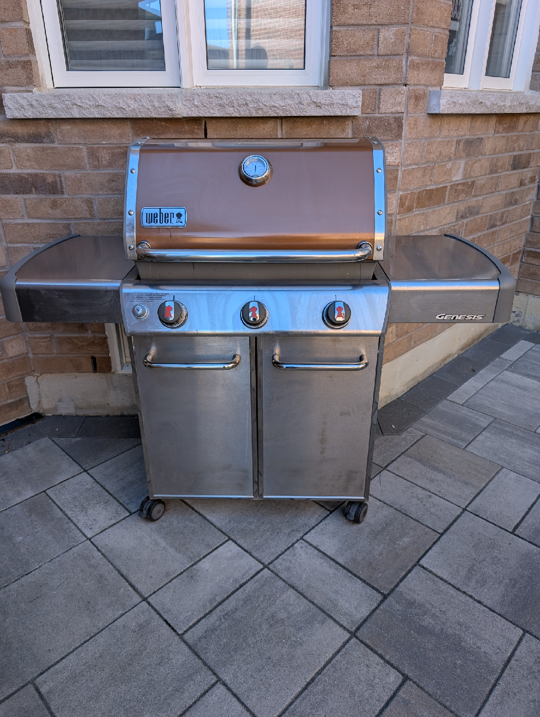 Weber Genesis Gas Grill