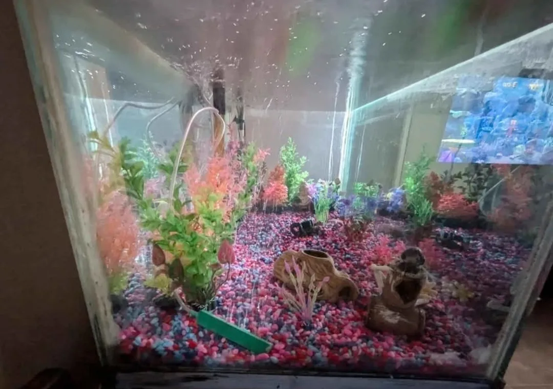 55 gallon fish Tank with Accessories image indicator(2)