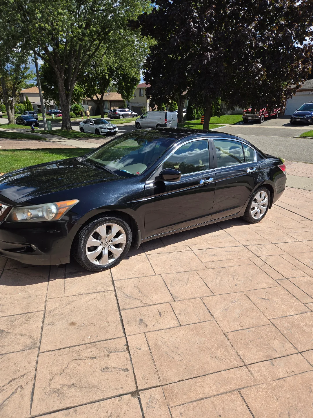 2010 Black Honda Accord V6 image indicator(5)