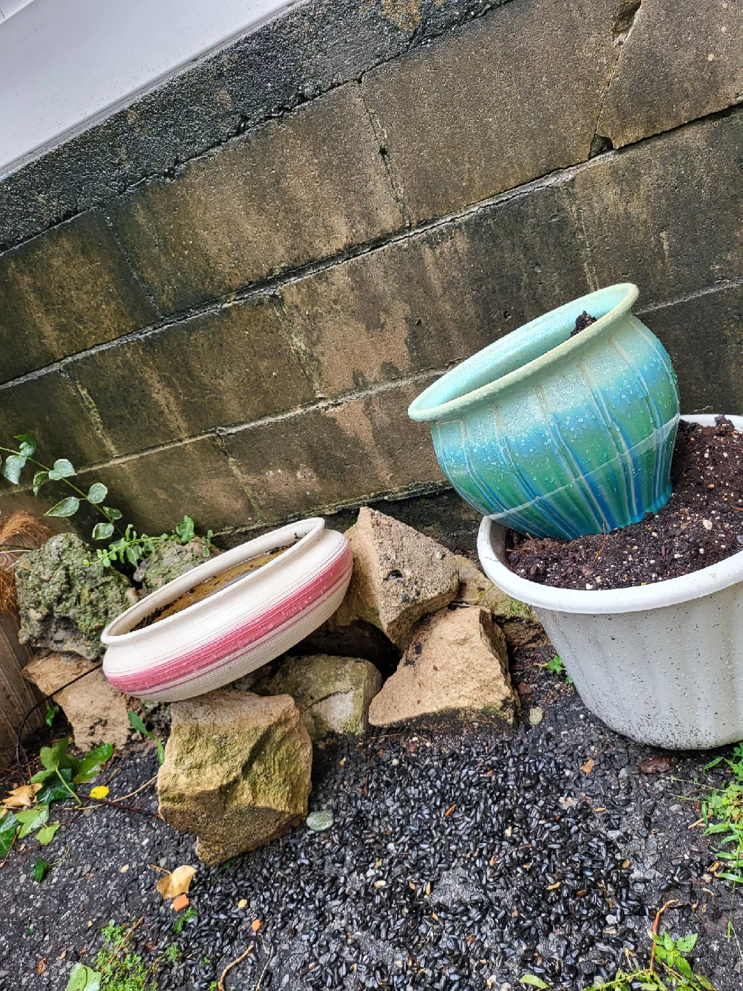 Used Flower Pots thumbnail
