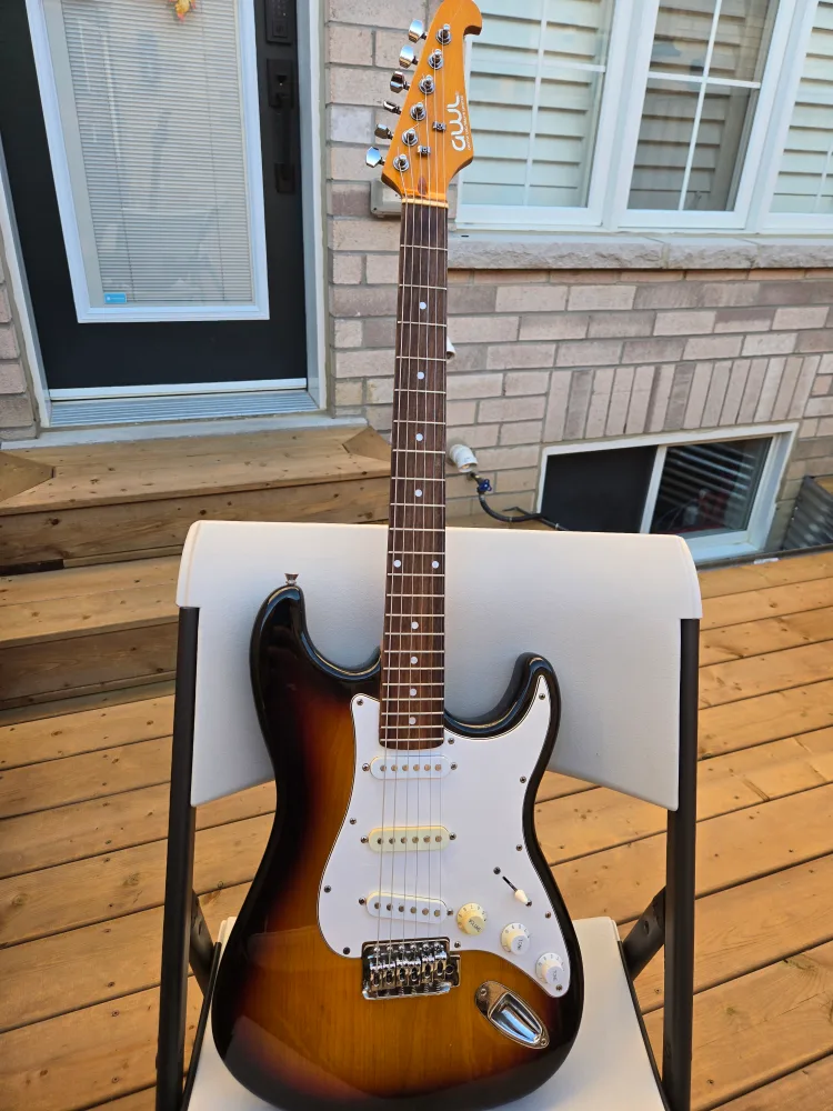 GWL George Washburn Limited Electric Guitar image indicator(5)