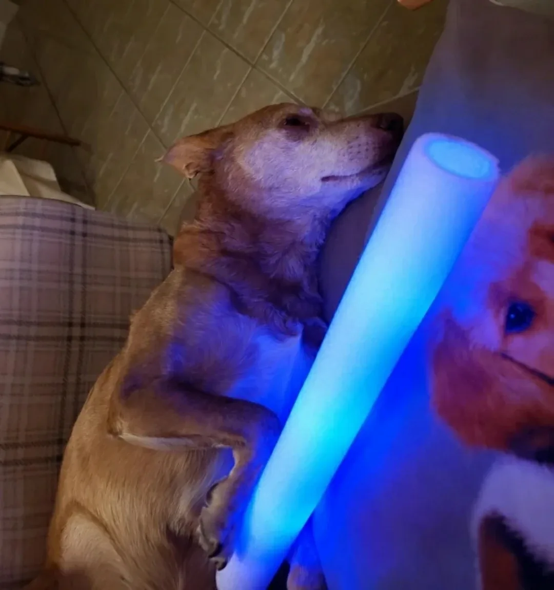 light toy image indicator(3)